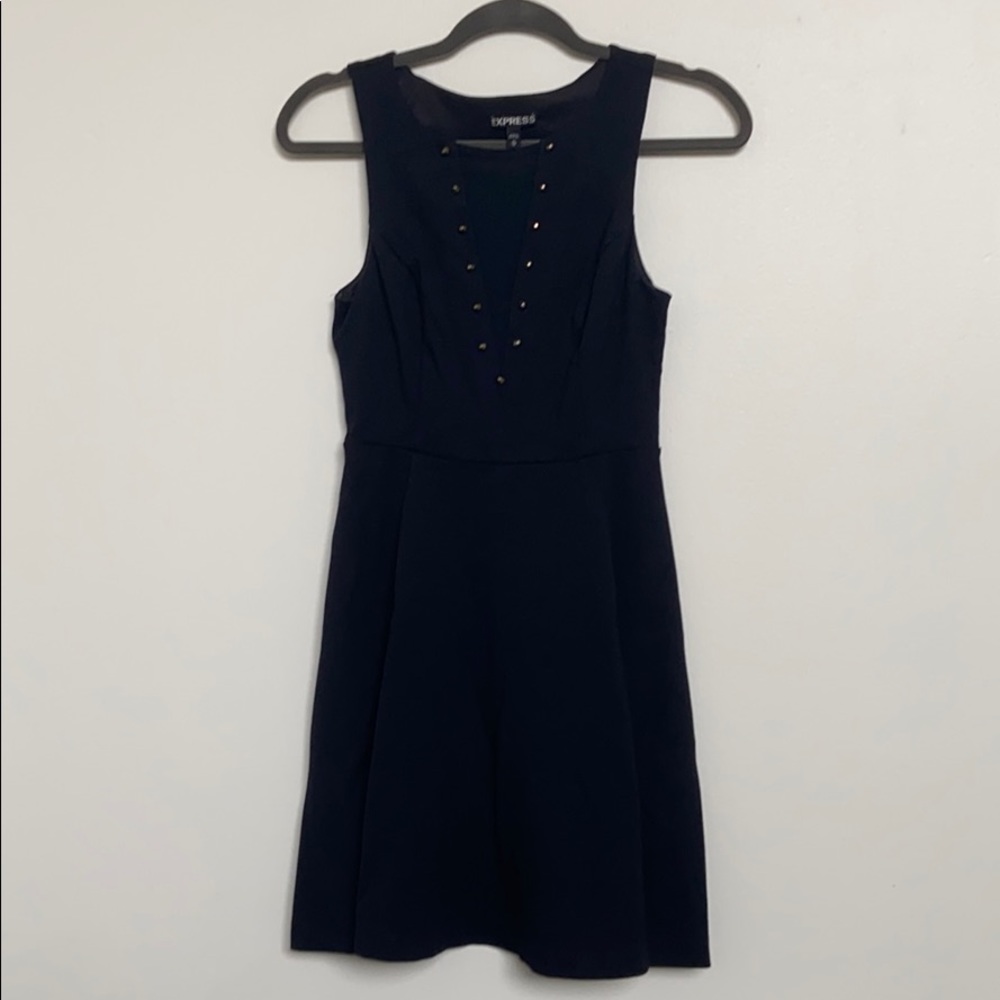 Express Skater dress